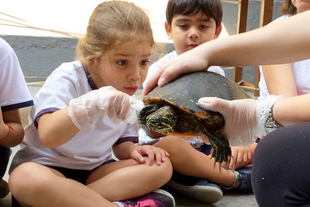 12094917_1082609635082442_253292100348486057_o