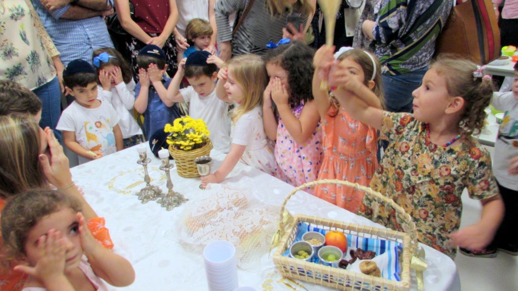 18768257_1564177070259027_8322153825842059220_o